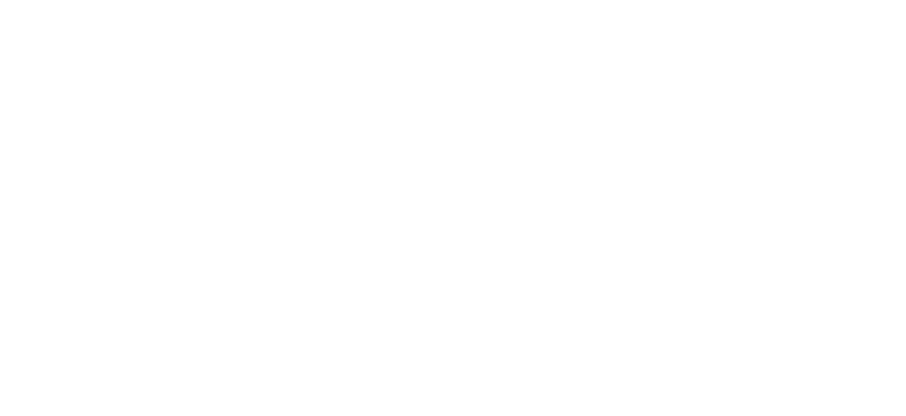 Peak Needles Logo